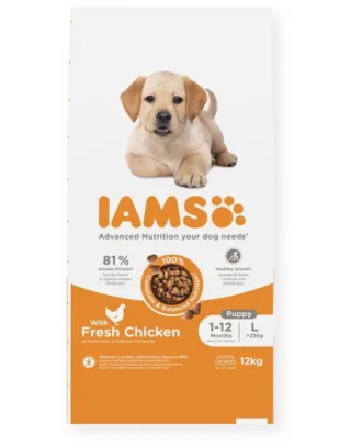 IAMS Advanced Nutrition Puppy Junior Large Breed Chicken 12 kg hrana catei talie mare