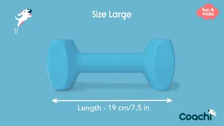 Coa Jucarie Dresaj Coachi Dumbell Large 41412A