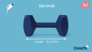 Coa Jucarie Dresaj Coachi Dumbell Small 41410A