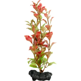 TETRA PLANTA DECOART RED LUDWIGIA M 30 CM