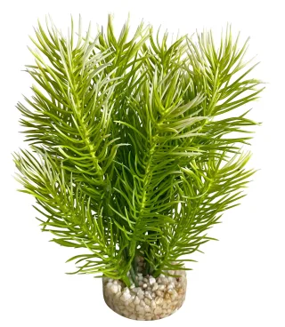 Sydeco Planta Japanese Tree 18 cm 380441