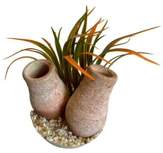 Sydeco Planta Cannon Double14 cm 380472