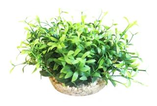 Sydeco Planta Amazon Vivarium 10 cm 385107