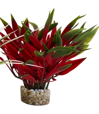 Sydeco Planta Nano Fiesta 13 cm 380090