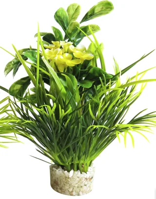 Sydeco Planta Blooming 15 cm 350116