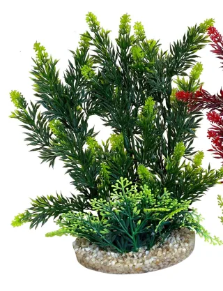 Sydeco Planta Hedge 24 cm 349708