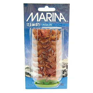 Marina Planta Foxtail 20 cm PP810