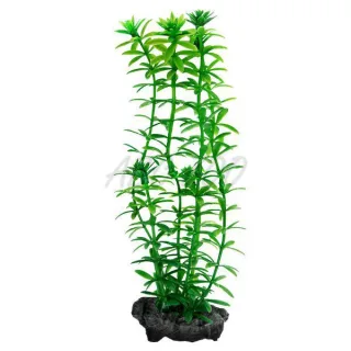TETRA PLANTA DECOART ANACHARIS M 23 CM