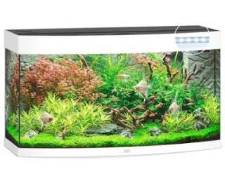 Juwel Acvariu Led Vision 180 Alb