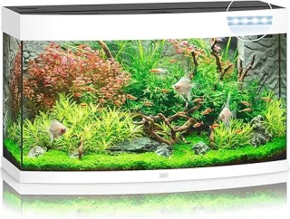 Juwel Acvariu Led Vision 260 Alb