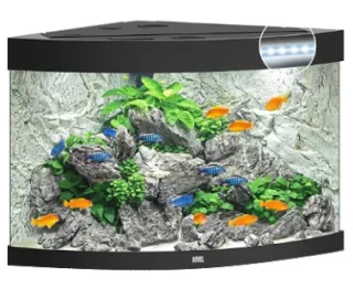 Juwel Acvariu Led Trigon 350 Negru