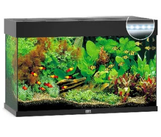 Juwel Acvariu Led Rio 125 Negru