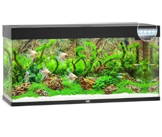 Juwel Acvariu Led Rio 240 Negru