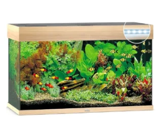 Juwel Acvariu Led Rio 180 Natur