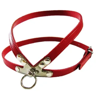 Pet Expert Ham Clasic Rosu - pet-expert,nr-4