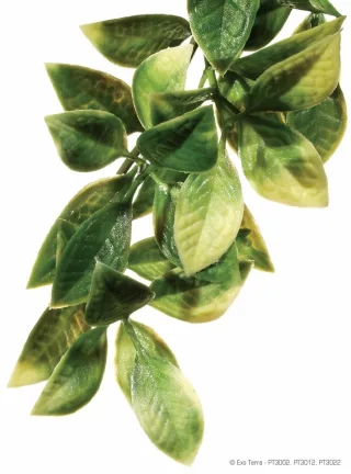 Exo Terra Planta Mandarin Small 45 CM PT 3002