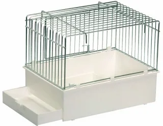 2 GR Colivie 55