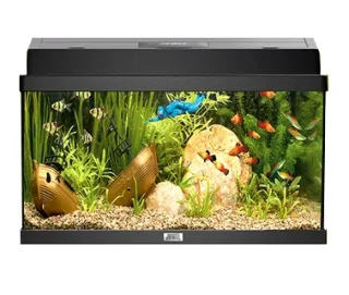 Juwel Acvariu Primo Led 60 Negru