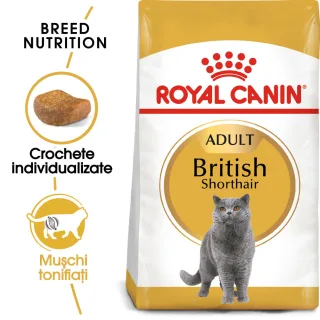 ROYAL CANIN British Shorthair Adult, hrană uscată pisici, 10kg