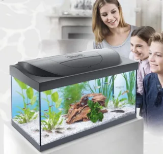 Tetra Acvariu Starter Line Led Day&amp;Night 54 L Negru