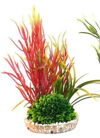 Sydeco Plante Islet Plant 22cm 349649