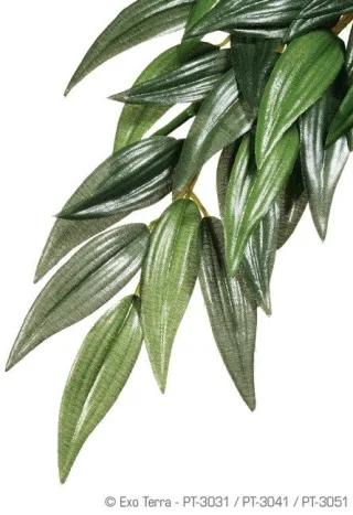 Exo Terra Planta Ruscus Medium 55 CM PT3041