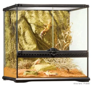 Exo Terra Terariu Sticla 45X45X45 cm PT2605