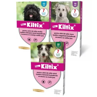 Kiltix  Zgarda Caine - medie