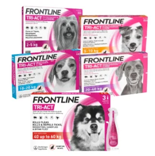 Frontline Tri-Act Caine - l