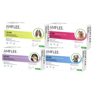 Amflee Pipeta Caine - s