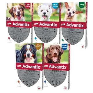 Advantix Pipeta Caine - xl