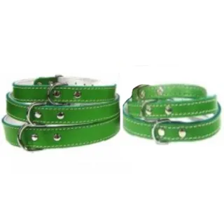 Pet Expert Zgarda Pasla Verde - nr-2
