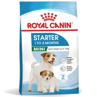 ROYAL CANIN Mini Starter Mother & Babydog, mama și puiul, hrană uscată câini, 8kg