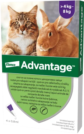 Pipeta antiparazitara Advantage pentru pisici  iepuri  4 kg - 8 kg ( 1 pipeta )
