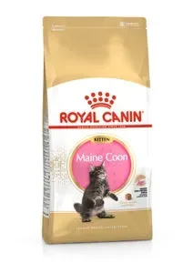 Hrana uscata pentru pisici Royal Canin Maine Coon Kitten 10 kg