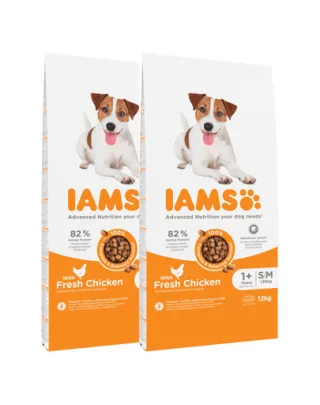 IAMS ProActive Health Adult Small &amp; Medium Breed Chicken 24 kg (2 x 12 kg) hrana caini talie mica