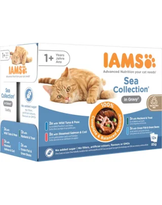 IAMS Cat Delights Adult All Breeds Sea In Jelly Pouch plic pisici 12x85 g în aspic