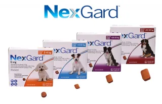 Nexgard Caine, 1 tableta
