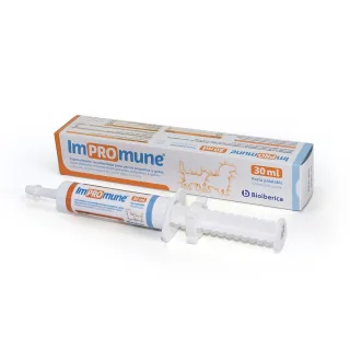 Impromune Pasta, 30 ml