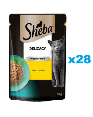 SHEBA Delicacy pui in aspic 28x85 g hrana pisici adulte