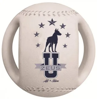 Zeus Minge Baseball