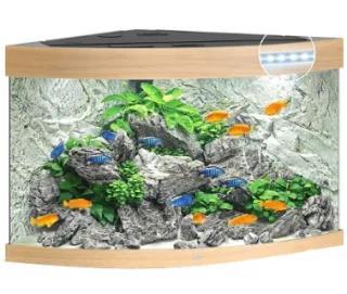Juwel Acvariu Led Trigon 190 Natur