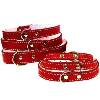 Pet Expert Zgarda Pasla cm Rosu - nr-6