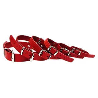 Pet Expert Zgarda Clasic Rosu - nr-1