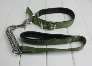 Pet Expert Zgarda/Lesa Verde 25/75