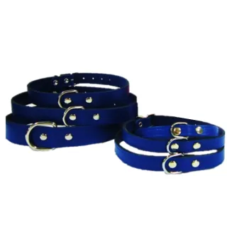 Pet Expert Zgarda Clasic  Albastru - nr-1