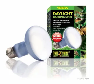 Exo Terra Bec Daylight 100 W PT 2133