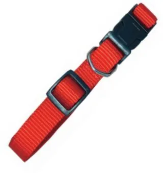 Zgarda Nylon 20 mm