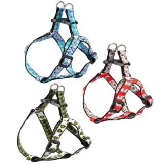 Ferplast Ham Arlecchino - xs