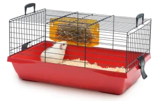 Pet Expert Cusca Rody Basic 58 cm